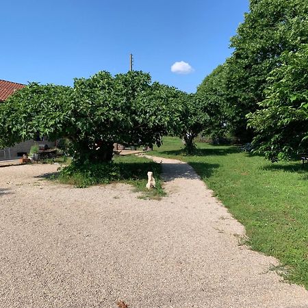 Gite La Longere Bleue Caylus Kültér fotó